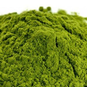 Chlorella en Polvo a granel