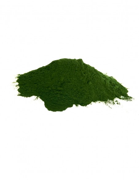 Alga Espirulina en Polvo a granel